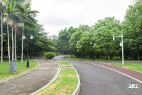 深圳中心公园