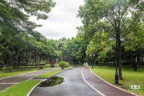 深圳中心公园