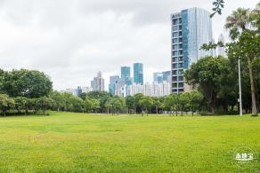 深圳中心公园