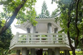 深圳中心公园