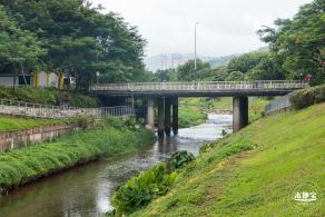 深圳中心公园