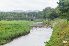 深圳中心公园