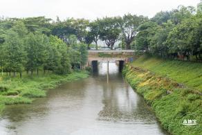 深圳中心公园