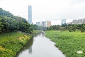 深圳中心公园
