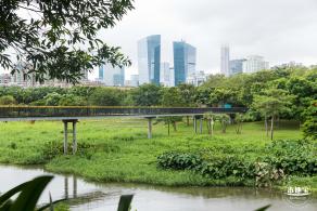 深圳中心公园