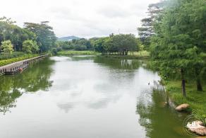 深圳中心公园