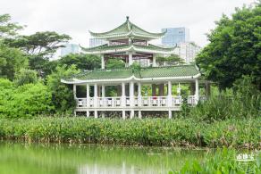深圳中心公园