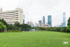 深圳中心公园