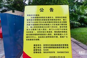福田红树林生态公园