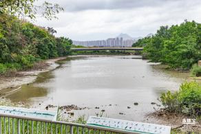 福田红树林生态公园