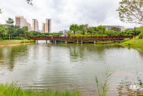 福田红树林生态公园