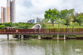福田红树林生态公园