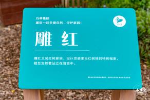福田红树林生态公园