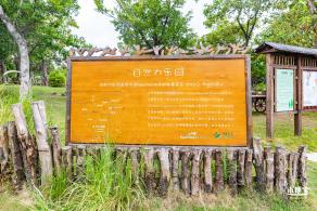 福田红树林生态公园