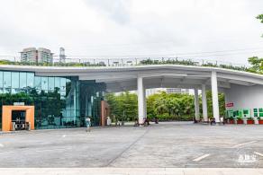 福田红树林生态公园