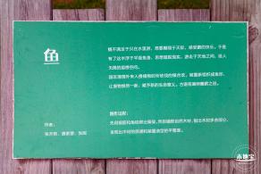 福田红树林生态公园