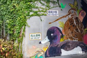 福田红树林生态公园