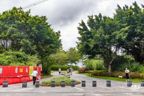 福田红树林生态公园