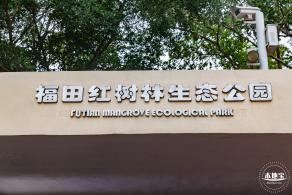 福田红树林生态公园