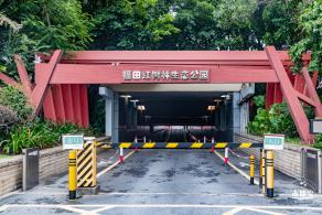 福田红树林生态公园