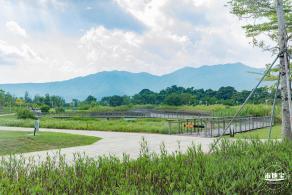 银叶树湿地公园