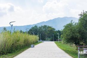 银叶树湿地公园
