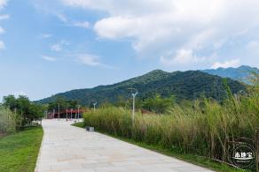 银叶树湿地公园