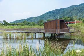 银叶树湿地公园