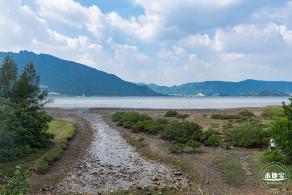 银叶树湿地公园
