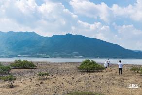 银叶树湿地公园