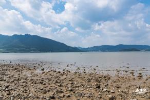 银叶树湿地公园