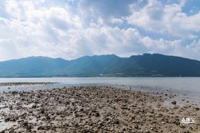 银叶树湿地公园