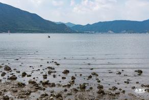 银叶树湿地公园