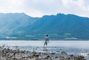 银叶树湿地公园