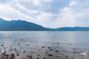 银叶树湿地公园