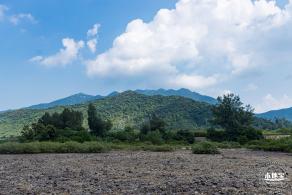 银叶树湿地公园