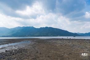 银叶树湿地公园