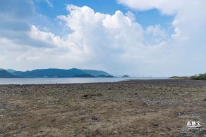 银叶树湿地公园