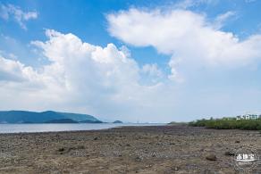 银叶树湿地公园
