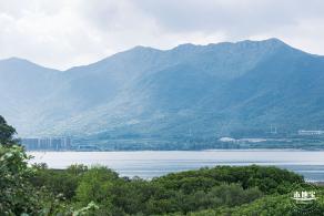 银叶树湿地公园