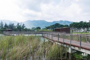 银叶树湿地公园