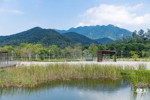 银叶树湿地公园
