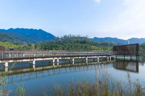 银叶树湿地公园