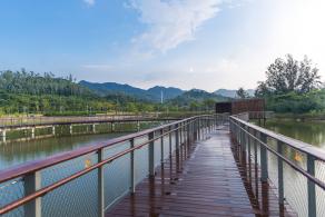 银叶树湿地公园