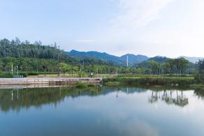 银叶树湿地公园