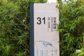 坝光盐灶古村