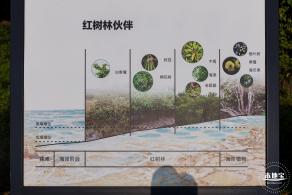 坝光盐灶古村