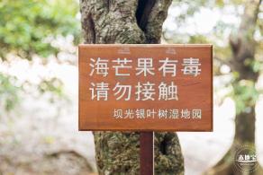 坝光盐灶古村