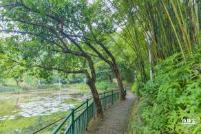 龙潭公园