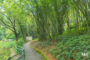 龙潭公园